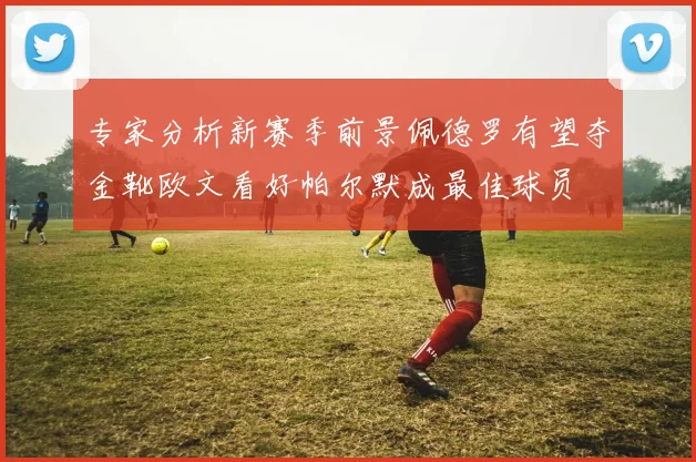 专家分析新赛季前景佩德罗有望夺金靴欧文看好帕尔默成最佳球员